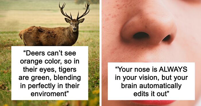 65 Weirdly Interesting Facts People Somehow Have Stored In Their Brains