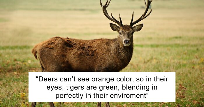 65 Weirdly Interesting Facts People Somehow Have Stored In Their Brains