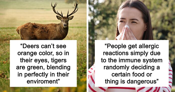 65 Weirdly Interesting Facts People Somehow Have Stored In Their Brains