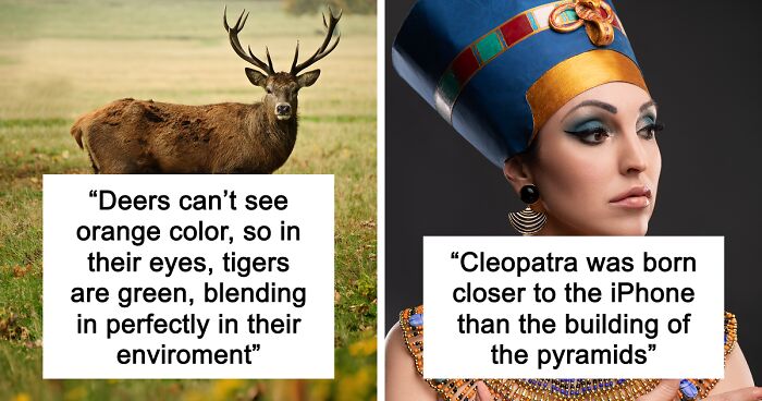 65 Weirdly Interesting Facts People Somehow Have Stored In Their Brains