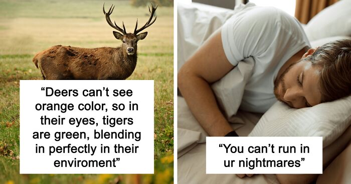 65 Weirdly Interesting Facts People Somehow Have Stored In Their Brains