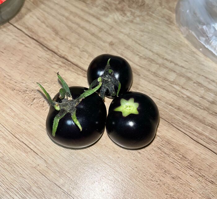 Three dark purple-black tomatoes with green tops on a wooden surface, real photos that make you question if they were edited.