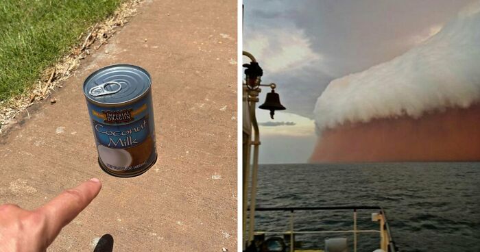 86 Photos That Look Like They're Fake But People Didn’t Edit A Single Thing