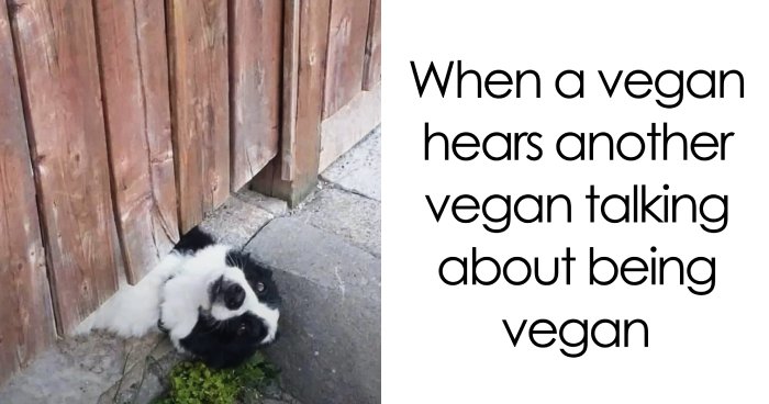 Don’t Choke On Your Salad While You Scroll These 47 Hilarious Vegan Memes