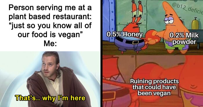 47 Hilarious Memes That Prove That Vegans Do Have A Sense Of Humor