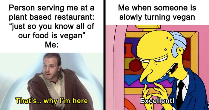 47 Hilarious Memes That Prove That Vegans Do Have A Sense Of Humor