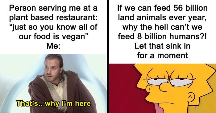47 Hilarious Memes That Prove That Vegans Do Have A Sense Of Humor