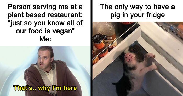 47 Hilarious Memes That Prove That Vegans Do Have A Sense Of Humor