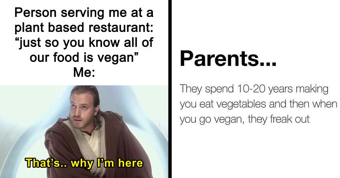 47 Hilarious Memes That Prove That Vegans Do Have A Sense Of Humor
