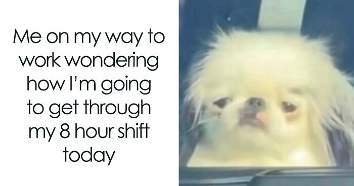50 Hilarious Memes That You May Find Amusing Because Of How Totally Relatable They Are