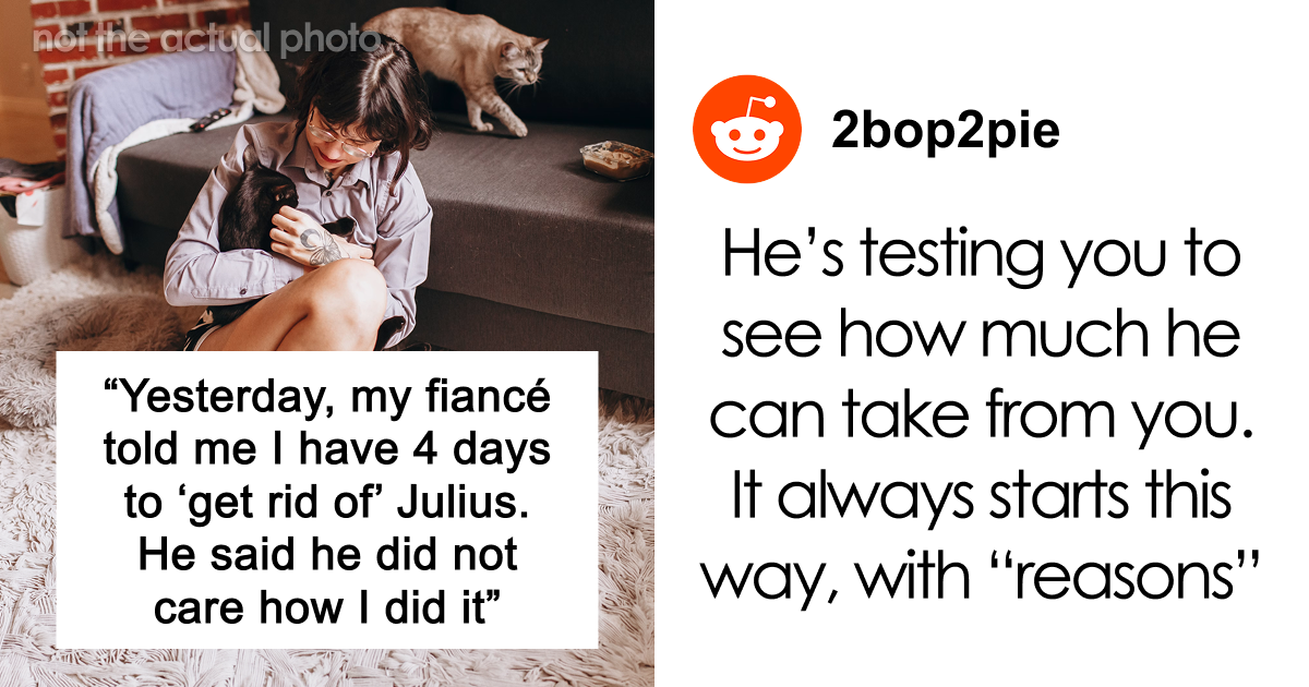 Fiancé Gives His Bride An Ultimatum Just Days Before Their Civil Ceremony: “I Have 4 Days To ‘Get Rid Of’ Julius” | Bored Panda