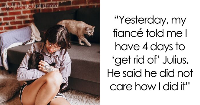 Bride-To-Be Questions Her Engagement After Fiancé Issues An Ultimatum About Her Cat