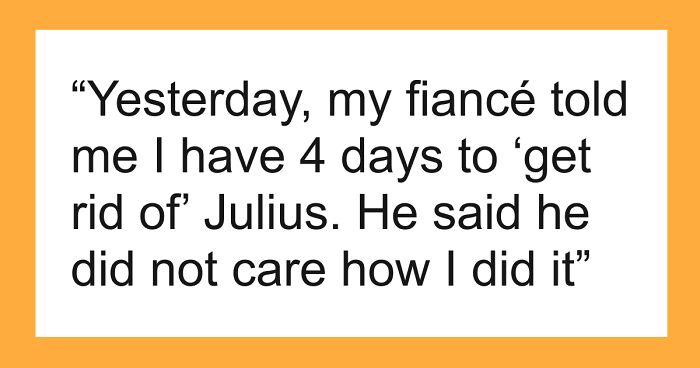 Bride-To-Be Questions Her Engagement After Fiancé Issues An Ultimatum About Her Cat