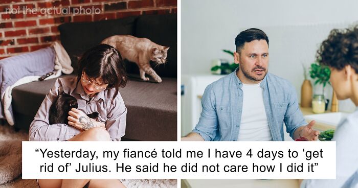 Bride-To-Be Questions Her Engagement After Fiancé Issues An Ultimatum About Her Cat