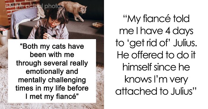 Bride-To-Be Questions Her Engagement After Fiancé Issues An Ultimatum About Her Cat