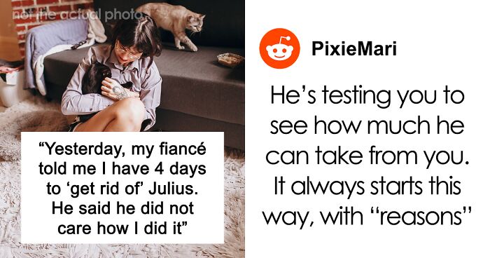 Bride-To-Be Questions Her Engagement After Fiancé Issues An Ultimatum About Her Cat