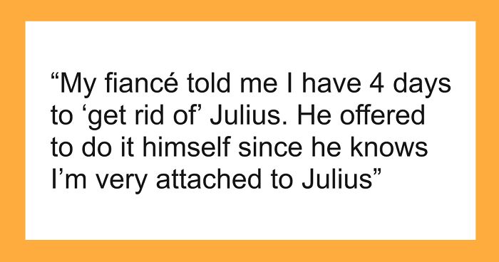 Bride-To-Be Questions Her Engagement After Fiancé Issues An Ultimatum About Her Cat