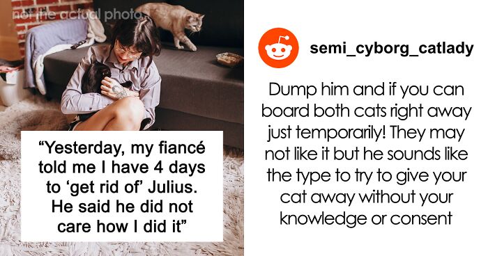 Bride-To-Be Questions Her Engagement After Fiancé Issues An Ultimatum About Her Cat