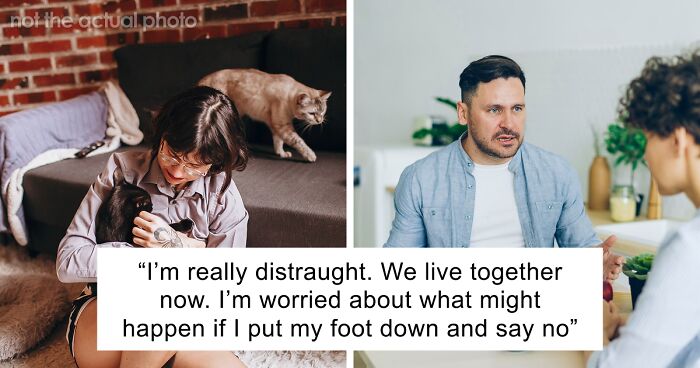 Bride-To-Be Questions Her Engagement After Fiancé Issues An Ultimatum About Her Cat