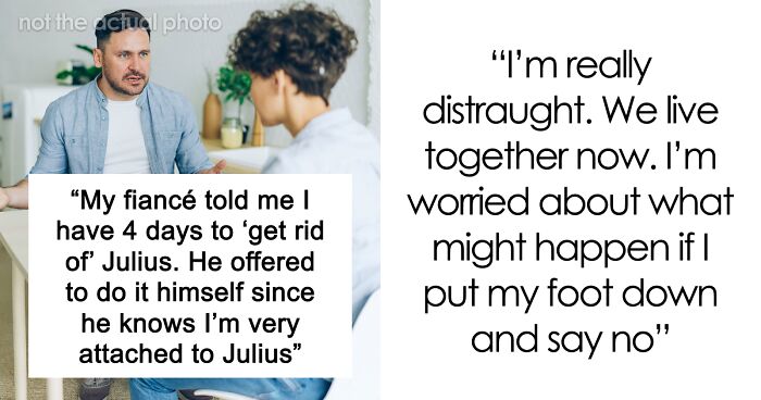 Bride-To-Be Questions Her Engagement After Fiancé Issues An Ultimatum About Her Cat