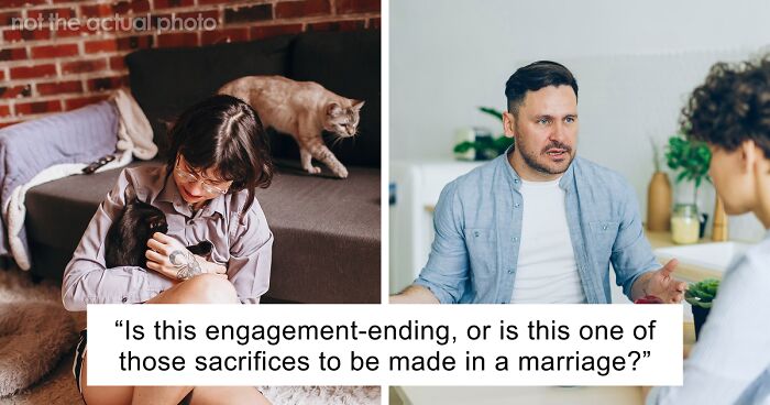 Bride-To-Be Questions Her Engagement After Fiancé Issues An Ultimatum About Her Cat