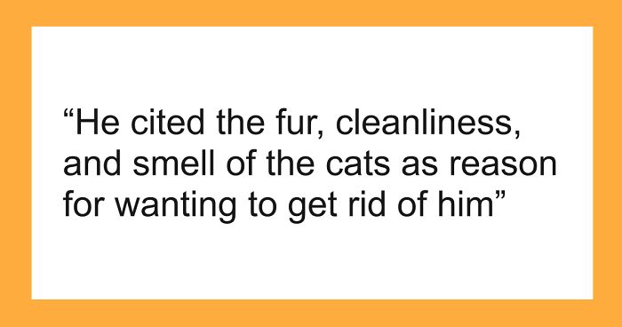 Bride-To-Be Questions Her Engagement After Fiancé Issues An Ultimatum About Her Cat