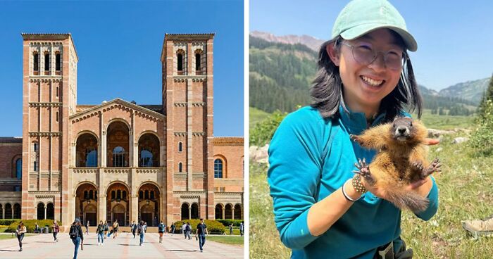 Professor Speaks Out After Turning To Adult Content Platform To Fund Marmot Studies, Going Viral