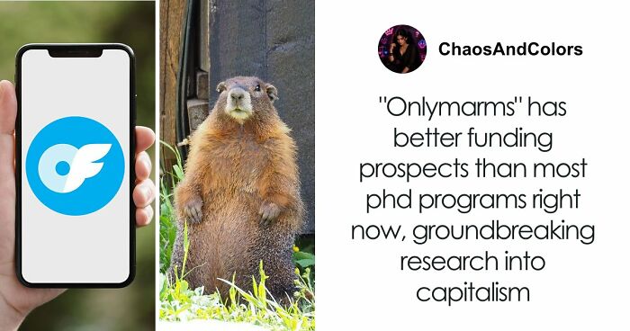 Professor Speaks Out After Turning To Adult Content Platform To Fund Marmot Studies, Going Viral
