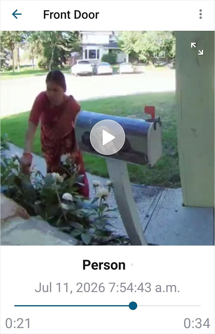 A neighbor caught redhanded on camera, picking flowers from a man's garden. An entitled neighbor taking flowers.