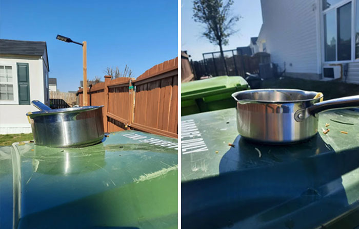 A small pot placed on a green trash bin outside, illustrating everyday problems and fixing things around the house.