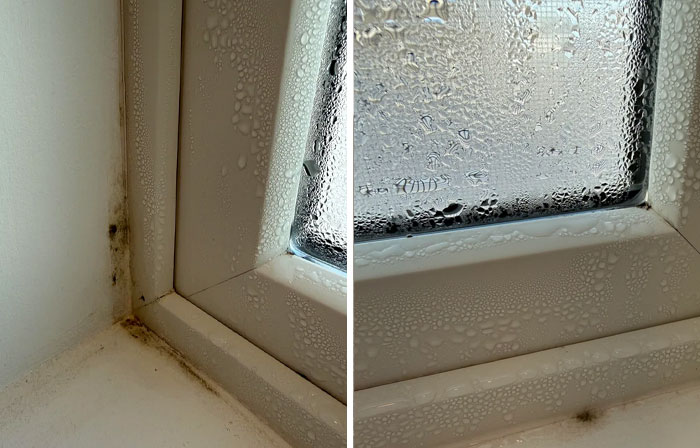 Condensation and mold on a window frame, showing common household issues and solutions for fixing things.