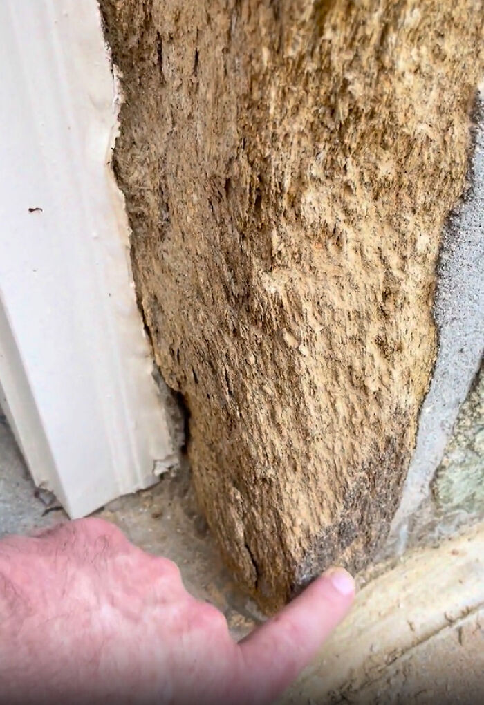 A close-up of a person's finger pointing at a severely damaged, rotting wooden structure, illustrating a need for help fixing things.