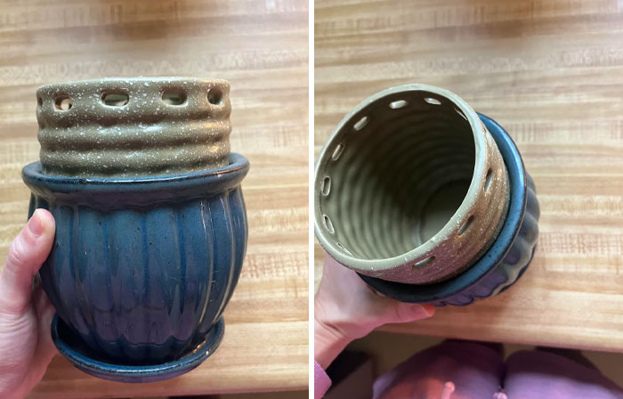 Two views of a person holding a blue and beige ceramic planter, showcasing things people need help identifying or fixing.