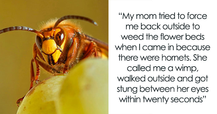 74 Moments When The Universe Said “Not Today” And Handed Out Instant Justice