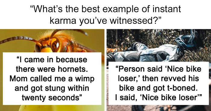 74 Moments When The Universe Said “Not Today” And Handed Out Instant Justice