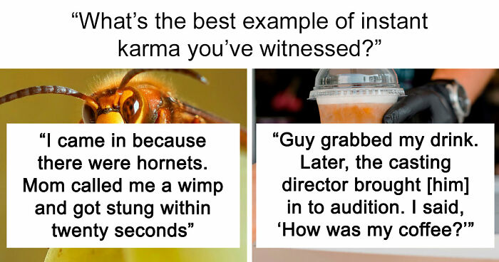 74 Moments When The Universe Said “Not Today” And Handed Out Instant Justice