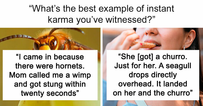 74 Moments When The Universe Said “Not Today” And Handed Out Instant Justice