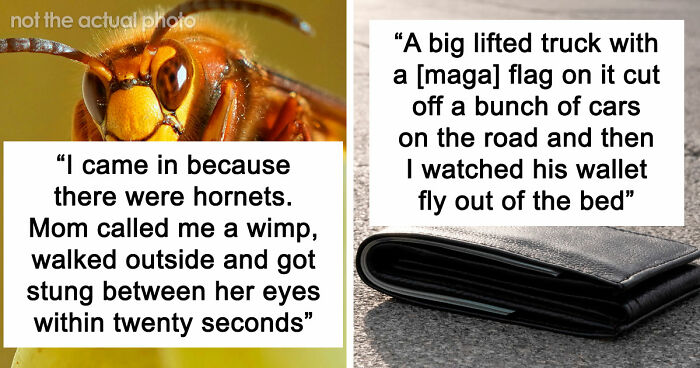 74 Moments When The Universe Said “Not Today” And Handed Out Instant Justice