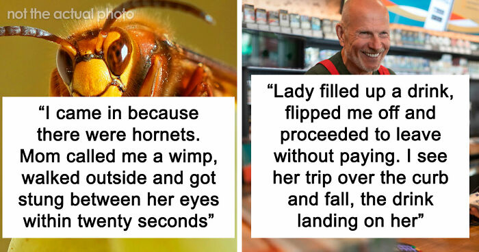 74 Moments When The Universe Said “Not Today” And Handed Out Instant Justice