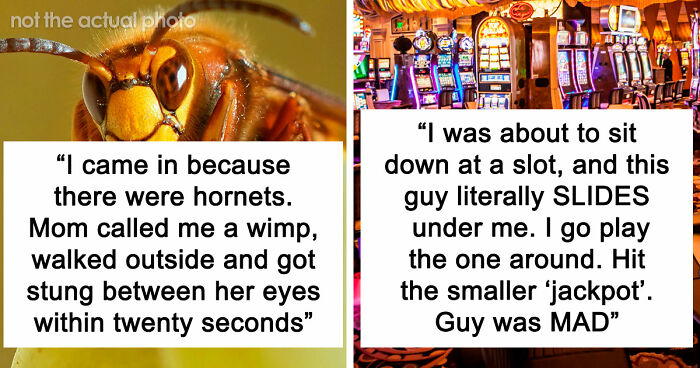 74 Moments When The Universe Said “Not Today” And Handed Out Instant Justice