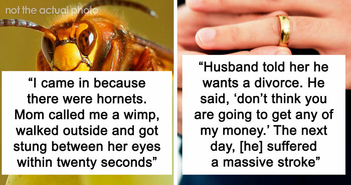 74 Moments When The Universe Said “Not Today” And Handed Out Instant Justice