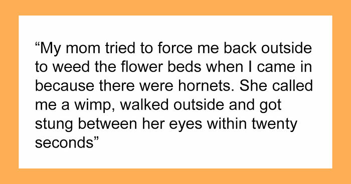 74 Moments When The Universe Said “Not Today” And Handed Out Instant Justice