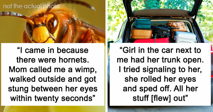 74 Moments When The Universe Said “Not Today” And Handed Out Instant Justice