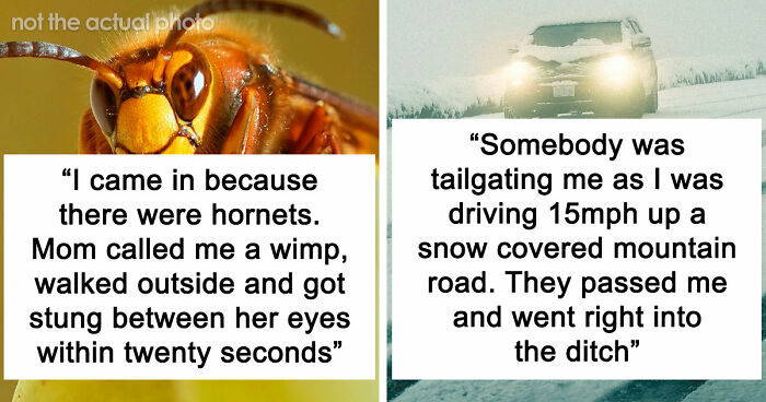 74 Moments When The Universe Said “Not Today” And Handed Out Instant Justice