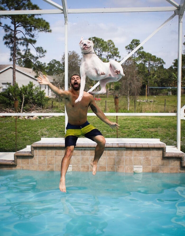 A man and a dog jumping into a pool, moments before disaster struck.