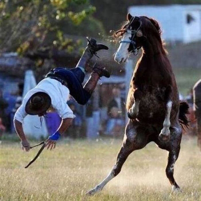 Hilarious photo of a rodeo rider moments before falling from a bucking horse in a dusty arena.
