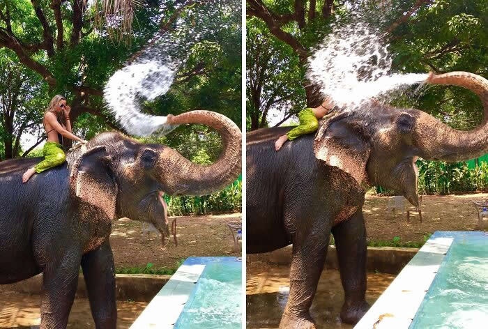 Hilarious photo of a woman on an elephant getting sprayed with water from its trunk moments before disaster struck.