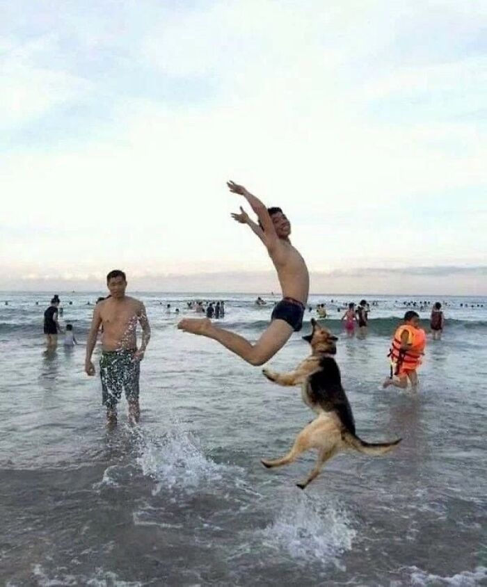 A man and a dog leaping out of the water, captured in a hilarious photo moments before disaster.