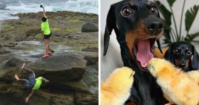 101 Hilarious Photos Taken Moments Before Disaster Struck