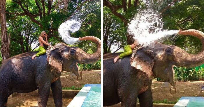 101 Hilarious Photos Taken Moments Before Disaster Struck